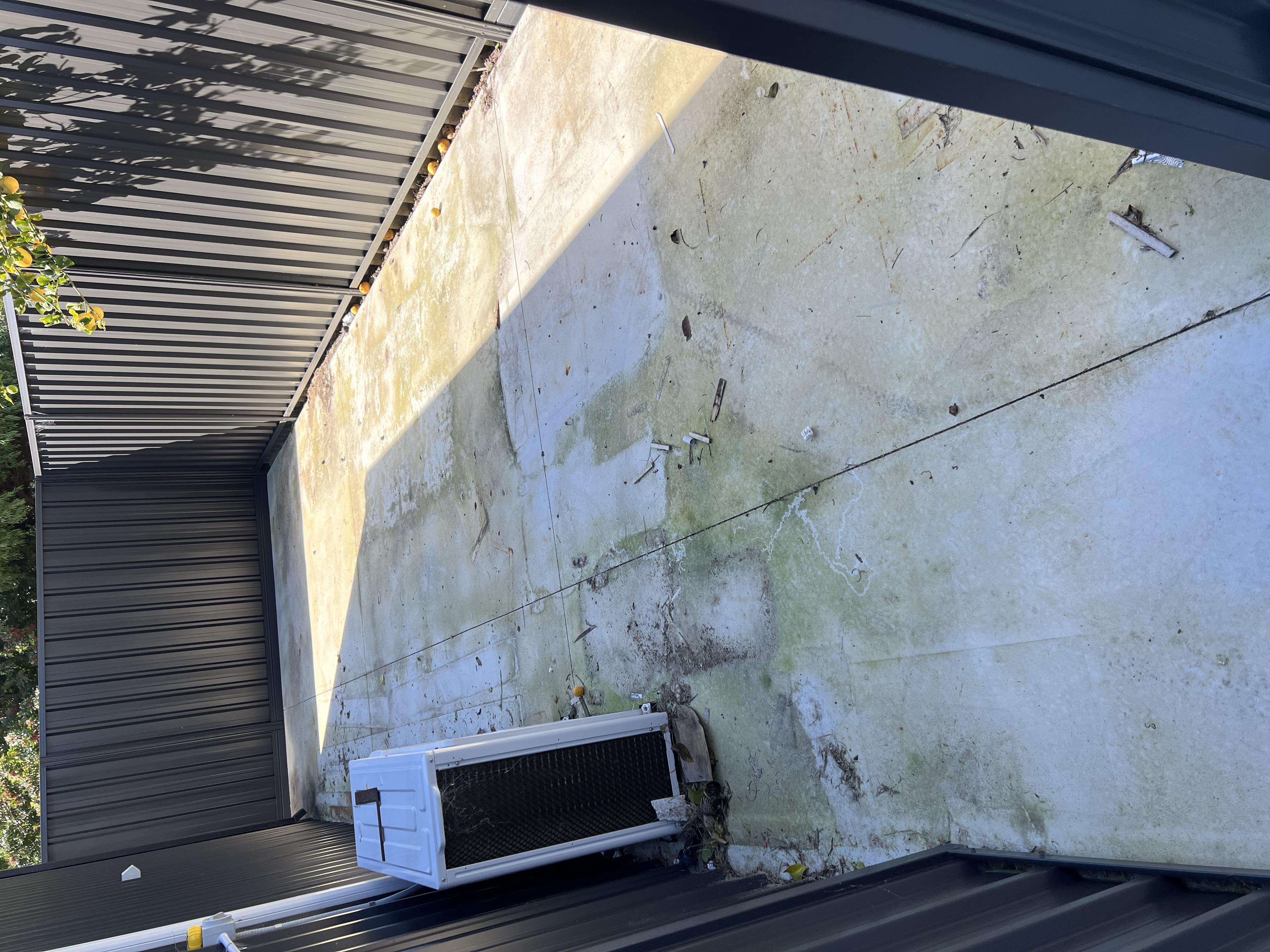 Concrete Concrete patio with algae growth before — pressure cleaning Heathridge Perth WA