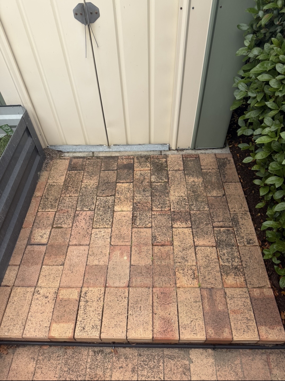 Brick pavers Brick paver area near shed before — pressure cleaning Kingsley Perth WA