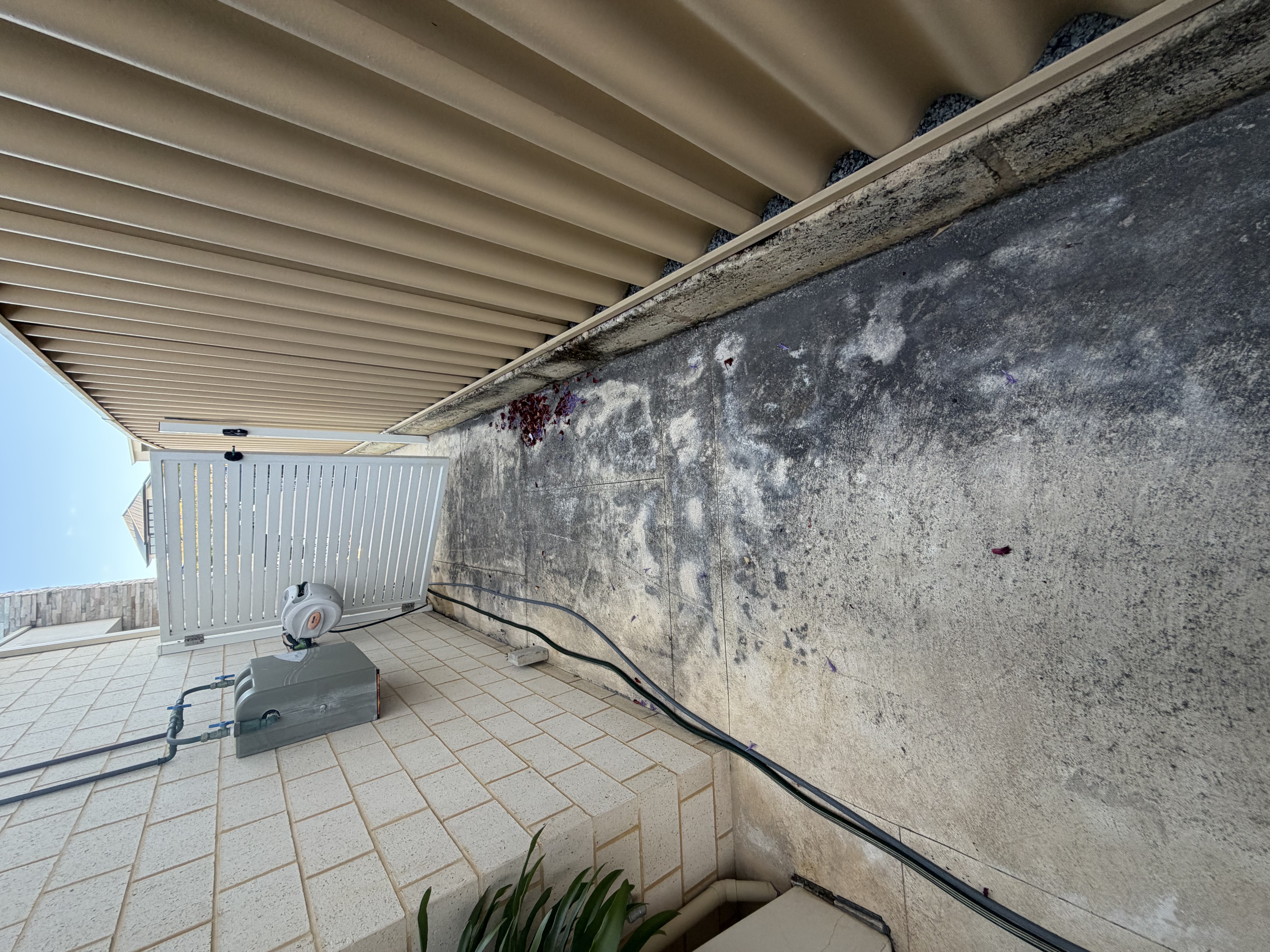 Liquid limestone Concrete side passage before — pressure cleaning Burns Beach Perth WA