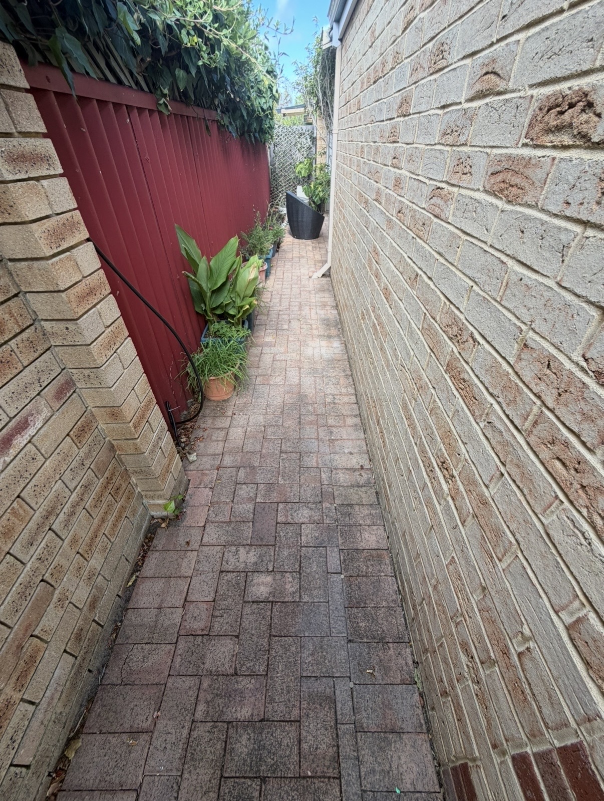Brick pavers Brick paver side passage before — pressure cleaning Dalkeith Perth WA