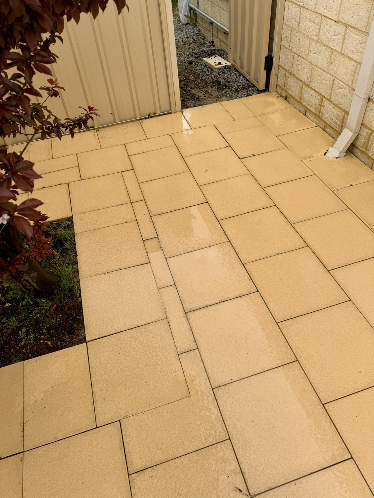Limestone pavers Garden area paving tiles after — pressure cleaning Gwelup Perth WA
